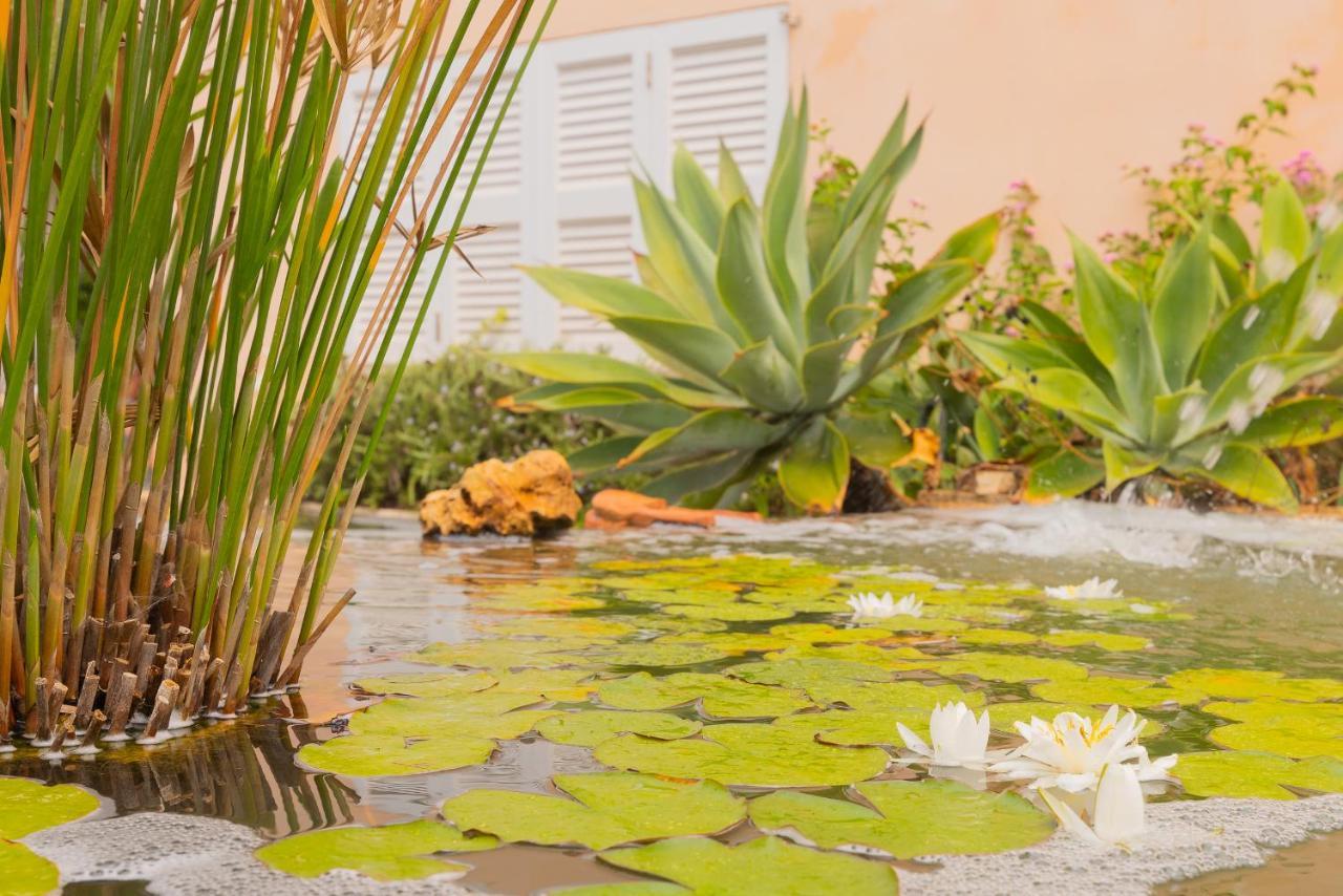 Villa Dolce Vita Portocolom  Eksteriør bilde